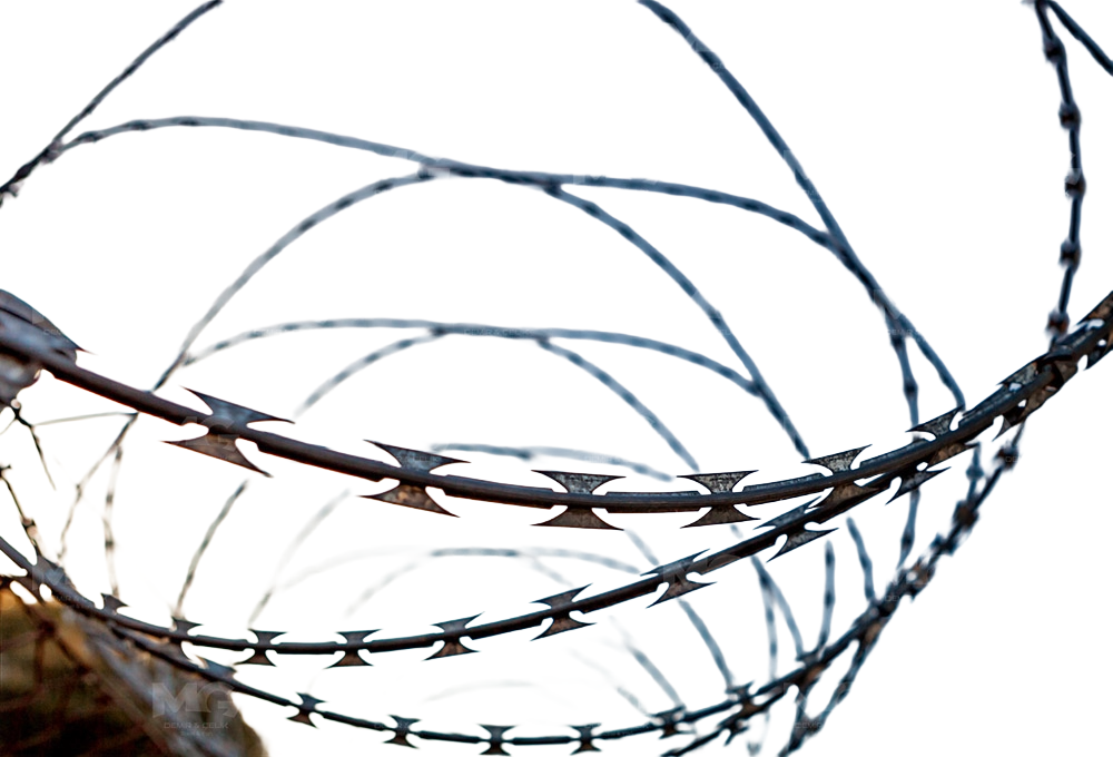 Concertina Razor Wire Coil for High-Security Perimeter Protection – CoreMet Steel